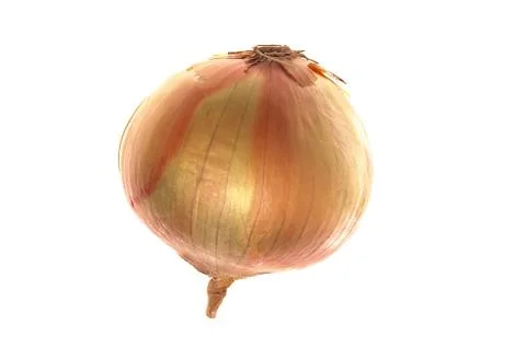 Onion Stock Photos