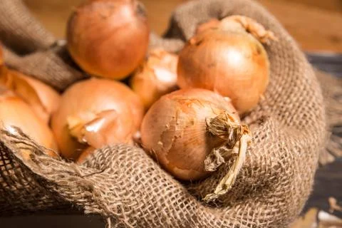 Onion Stock Photos