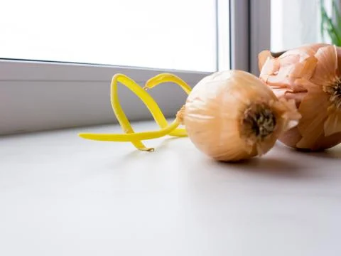 Onion. 스톡 사진