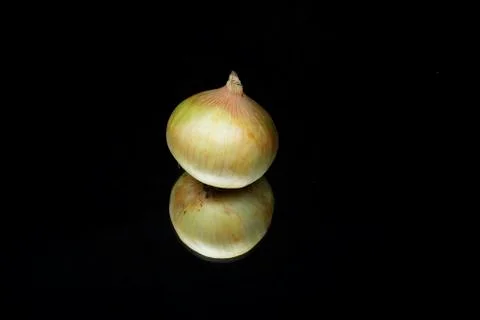 Onion Stock Photos