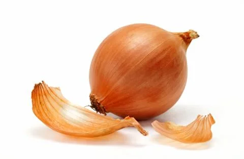 Onion Stock Photos
