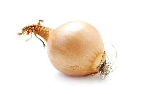 Onion Stock Photos