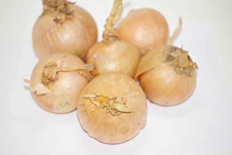 Onion. Fotos de archivo