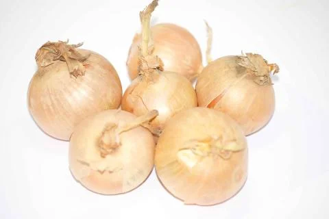 Onion. Fotos de archivo