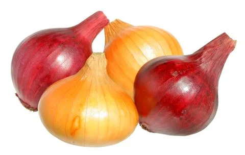 Onion Stock Photos