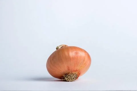 Onion Stock Photos