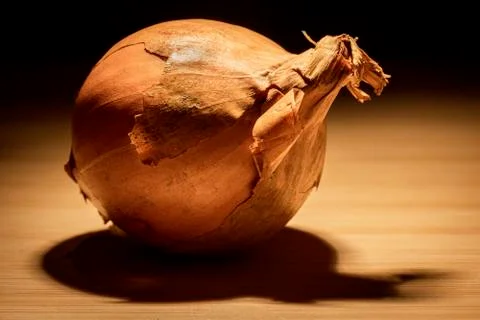 Onion 库存照片