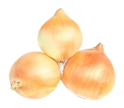 Onion Stock Photos