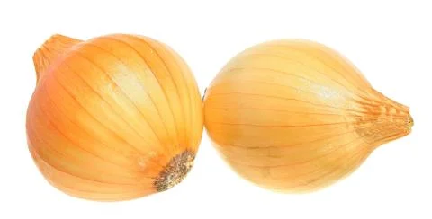 Onion Stock Photos