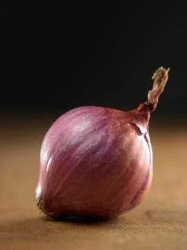 Onion Foto stock