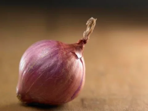 Onion Stock Photos