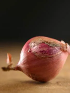 Onion Stock Photos