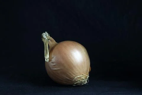 Onion Stock Photos