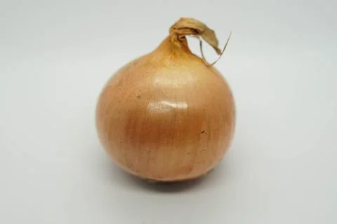 Onion 库存照片