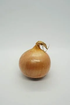 Onion Stock Photos