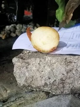 Onion Foto stock