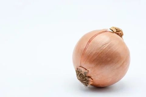 Onion Stock Photos