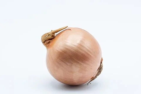 Onion Stock Photos