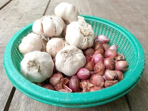 Onion Stock Photos