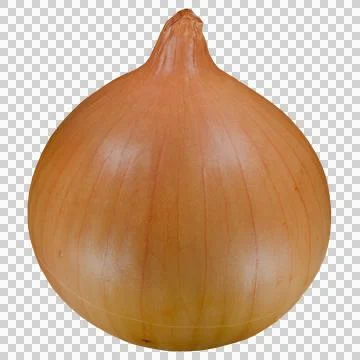 Onion Stock Photos