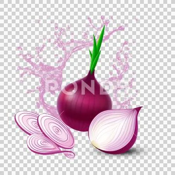 Onion photography PSD Template