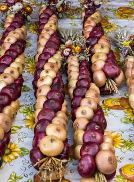 Onion plats 2 Stock Photos
