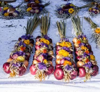 Onion plats 3 Stock Photos