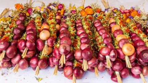 Onion plats Stock Photos