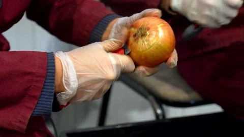 Onion processing. Stock Footage 255994428