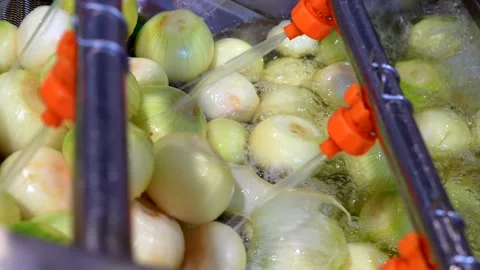 Onion processing. Stock Footage 255994658
