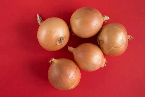 Onion on red background Stock Photos