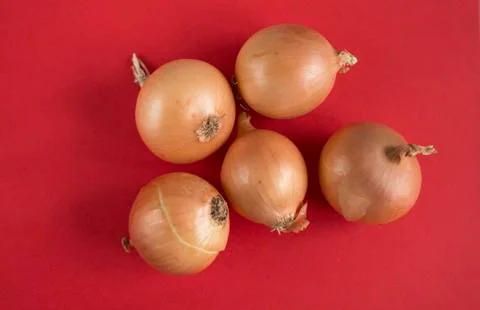 Onion on red background Foto stock