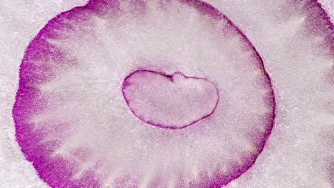 Onion red, cut inside close-up 스톡 동영상 209565668