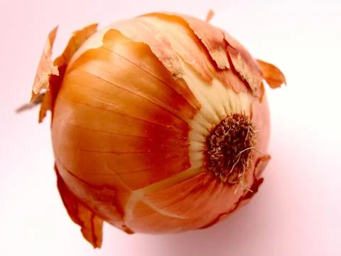 Onion in red Stock Photos