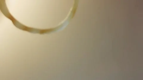 Onion ring dropping through a minimalist culinary frame, 4K Stock Footage 341120045