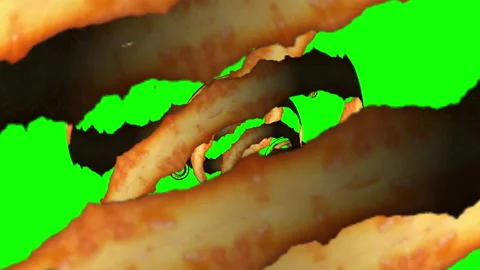 Onion Rings Spheres Stock Footage 159783827