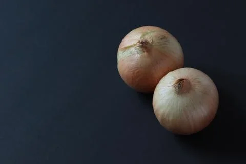 Onion root crop on dark background isolate Stock Photos