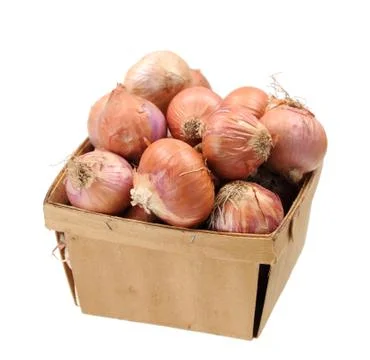 Onion roots Stock Photos