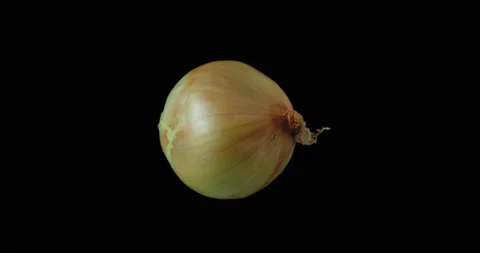 Onion rotating with black background Stock Footage 233580943