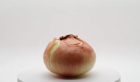 Onion Rotating on Turntable Stock Footage 230743193