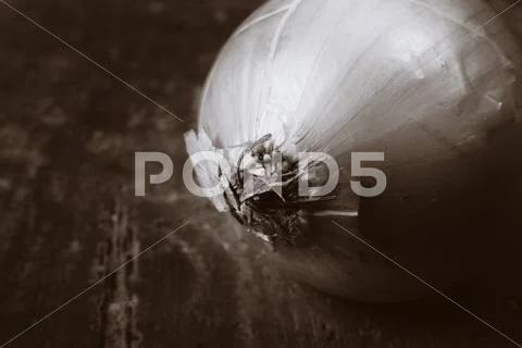 Onion rustic Stock Photos