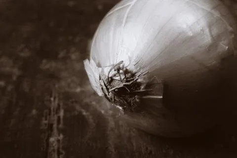 Onion rustic Stock Photos