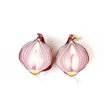 Onion s evolution an onion cut on a white surface Copyright: xZoonar.com/s... Stock Photos
