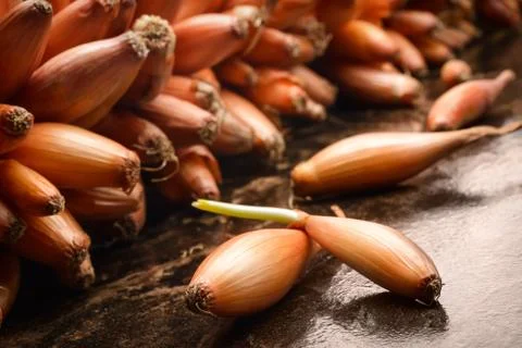 Onion seed Foto stock