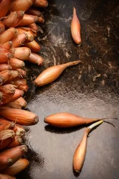 Onion seed Stock Photos