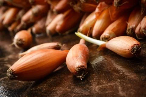 Onion seed Stock Photos