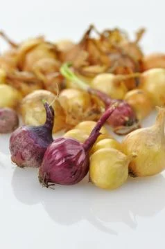 Onion seeds Stock Photos