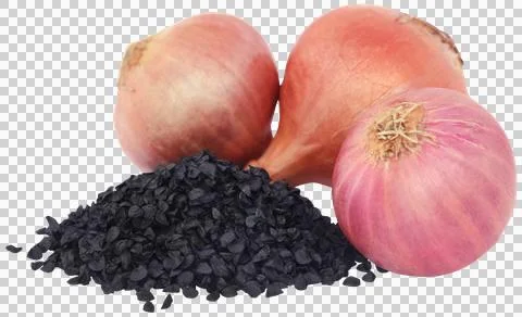 Onion seeds Stock Photos