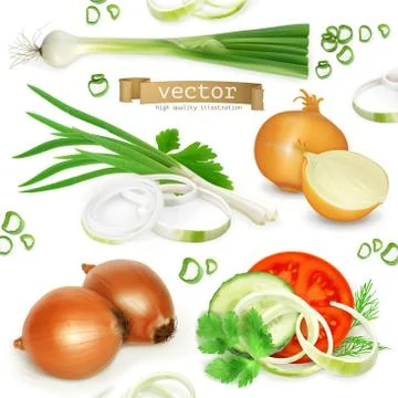 Onion set, realistic vector icons Stock Illustration