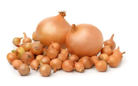 Onion sets Stock Photos